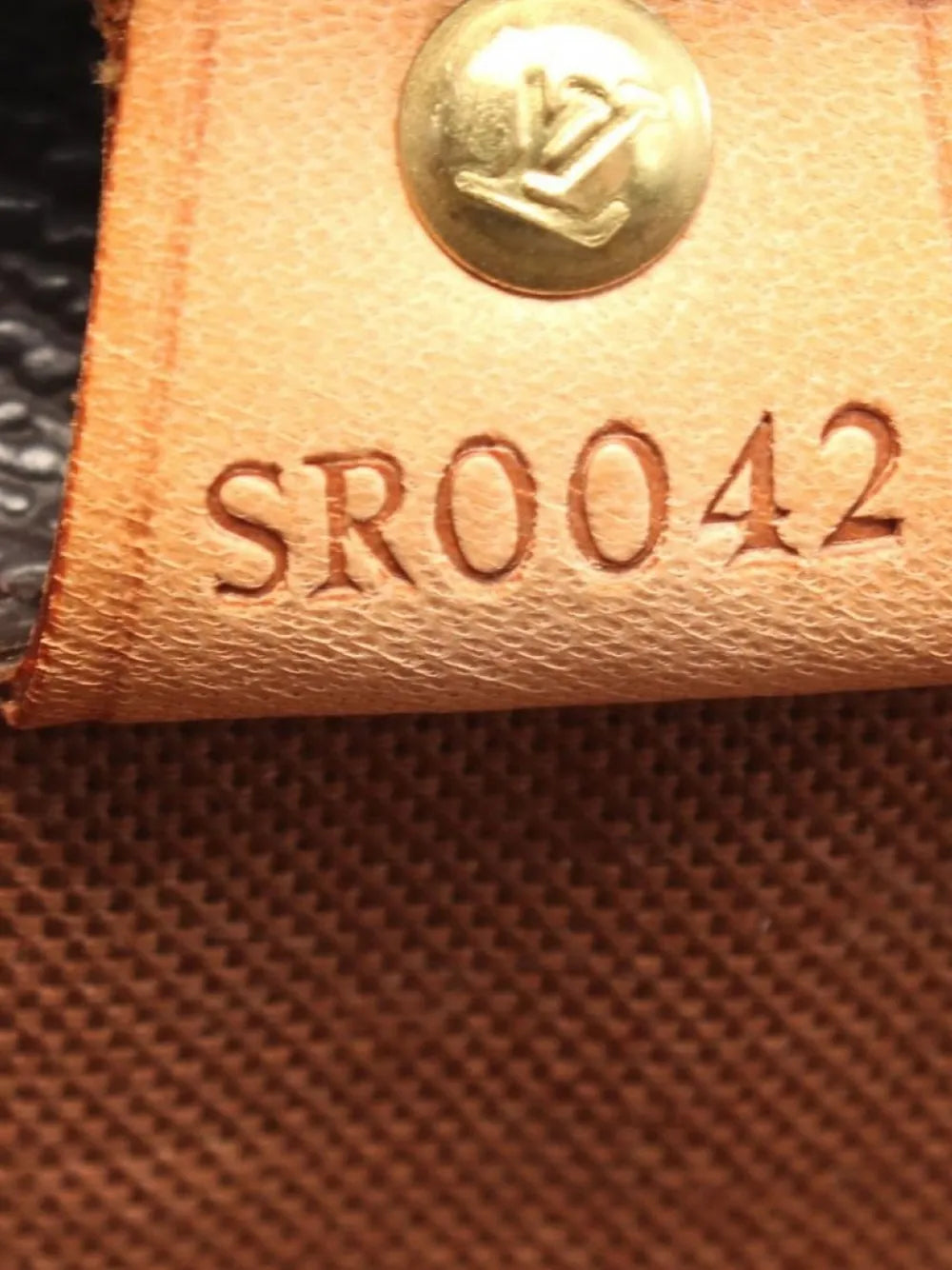 Pre-OwnedLouis Vuitton Pre-Owned2002 Vivian GM tote bag