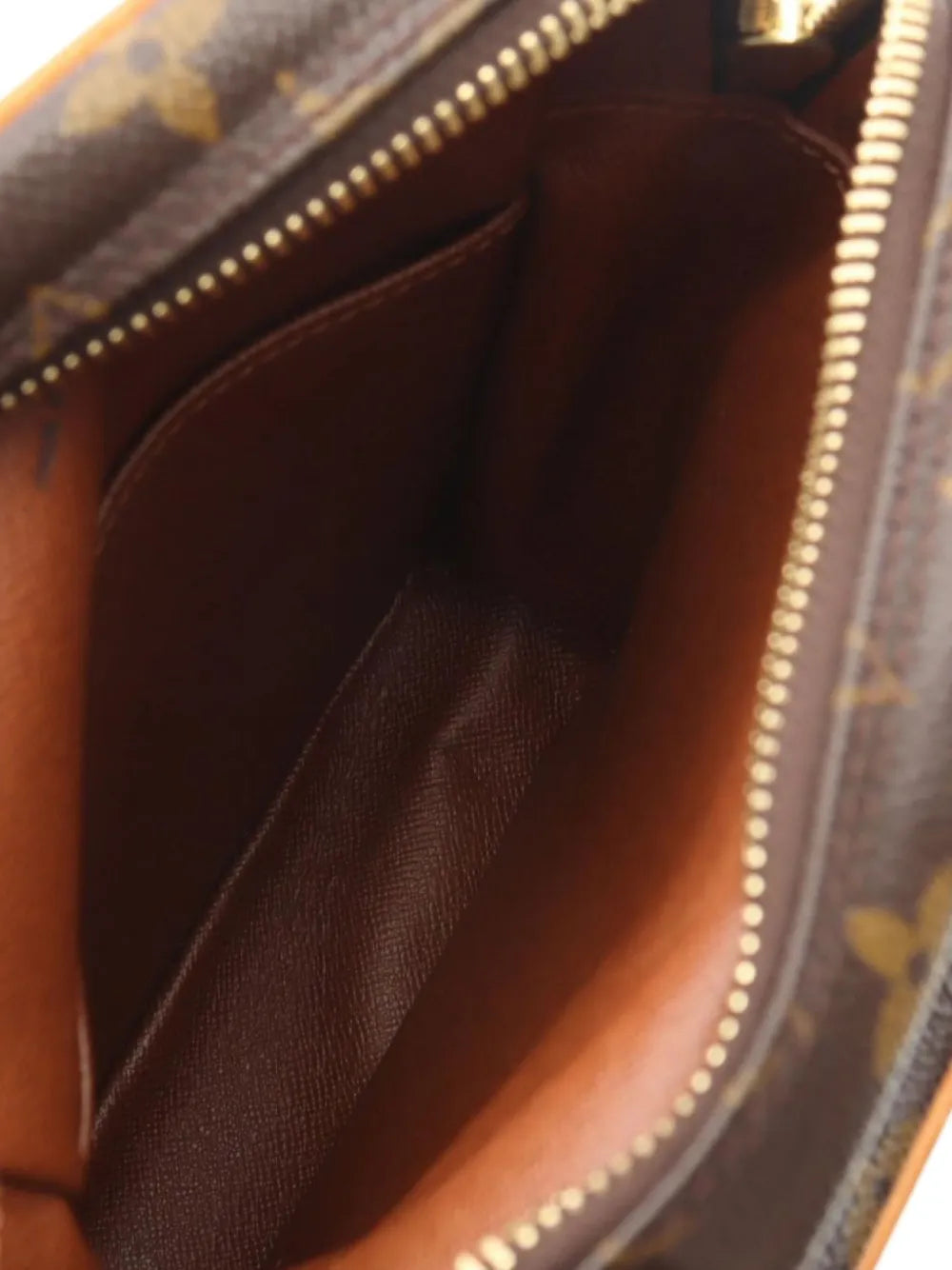 Pre-OwnedLouis Vuitton Pre-Owned2000s Amazon shoulder bag