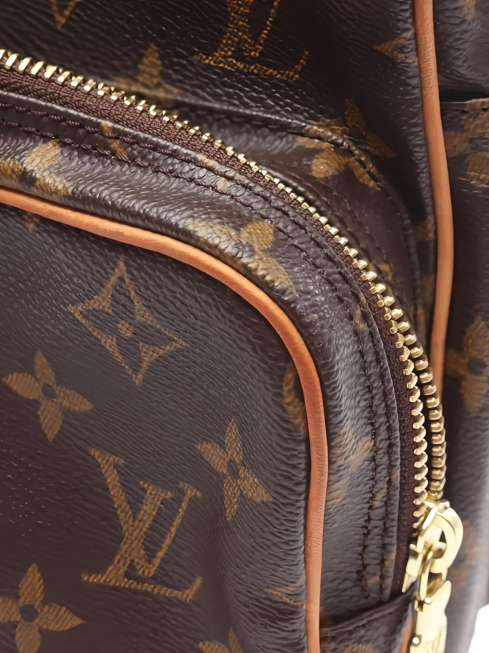 Pre-OwnedLouis Vuitton Pre-OwnedAmazon shoulder bag