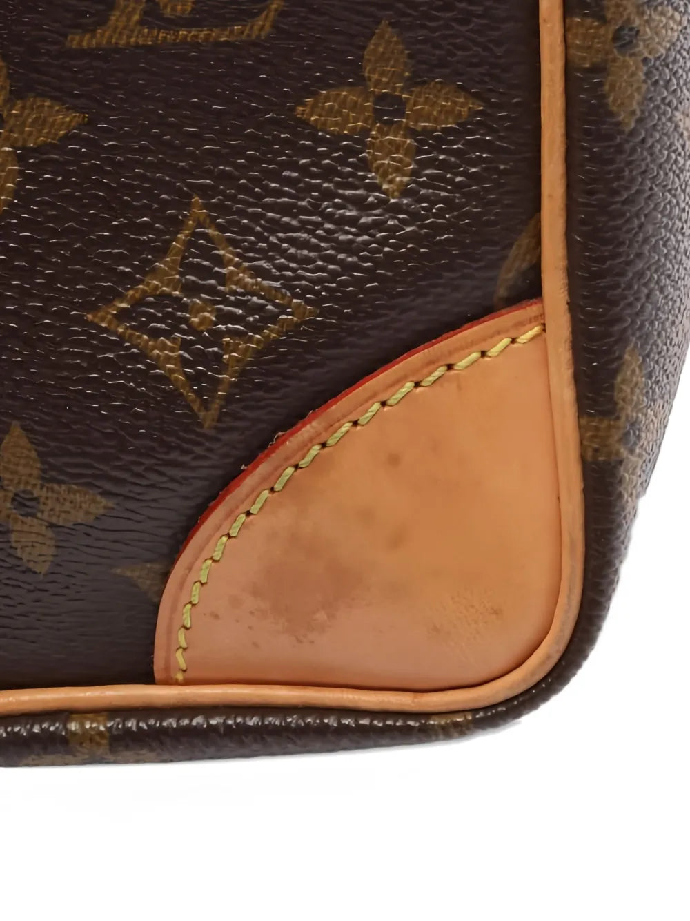 Pre-OwnedLouis Vuitton Pre-Owned2004 Monogram Amazon cross body bag