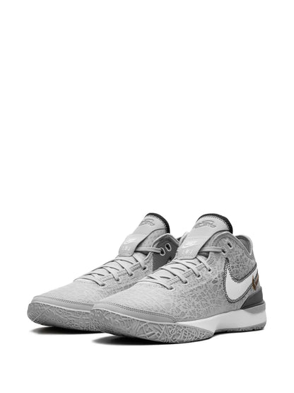 Nike Zoom Lebron Nxxt Gen Wolf Grey Metallic Gold floriamart.shop