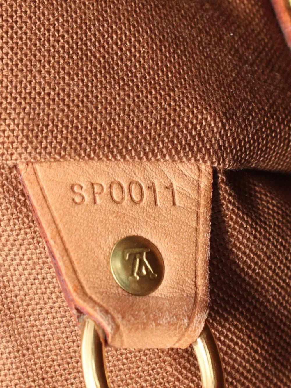 Pre-OwnedLouis Vuitton Pre-Owned2001 Montsouris MM backpack