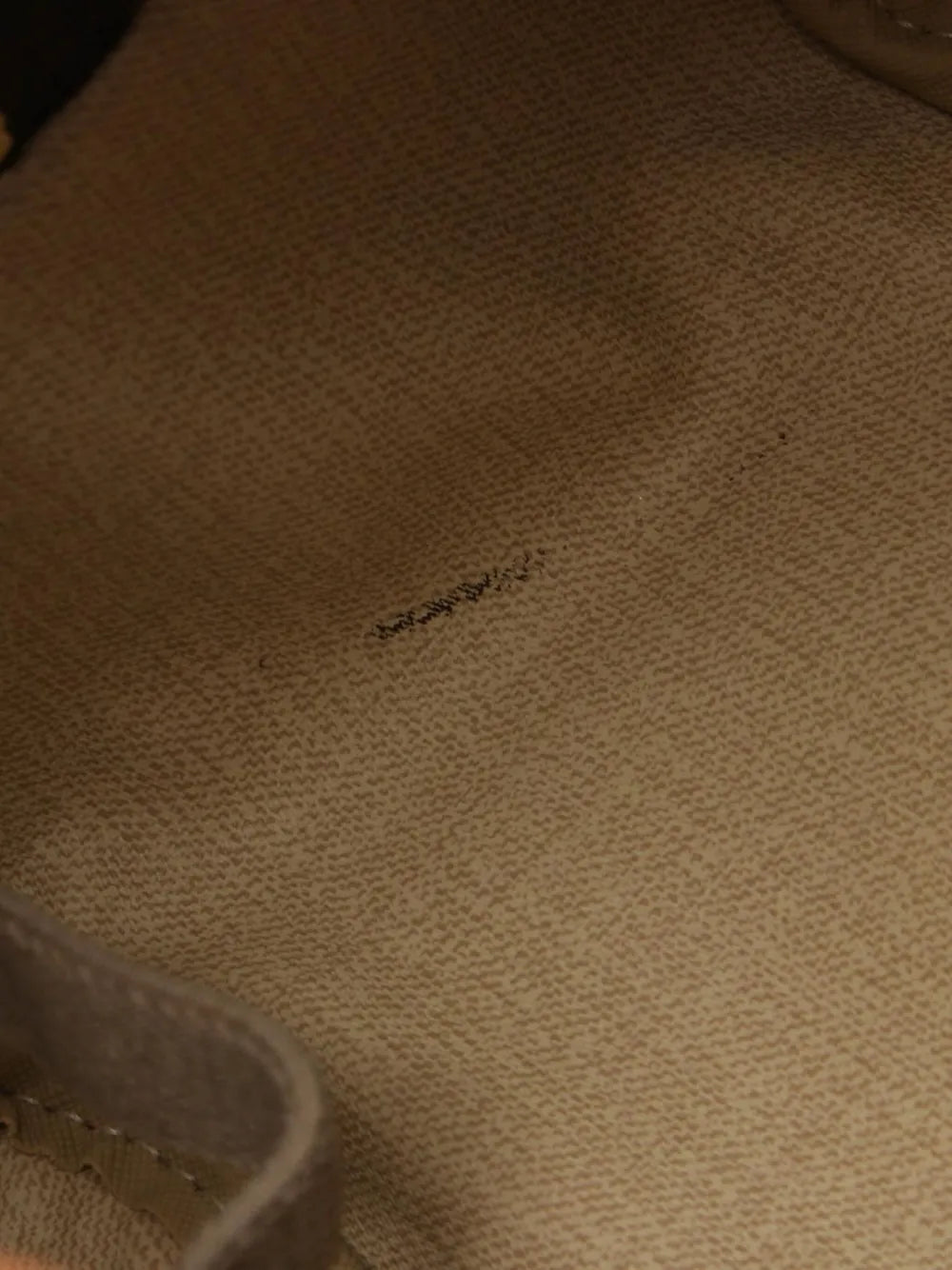 Pre-OwnedLouis Vuitton Pre-Owned2001 Deauville handbag