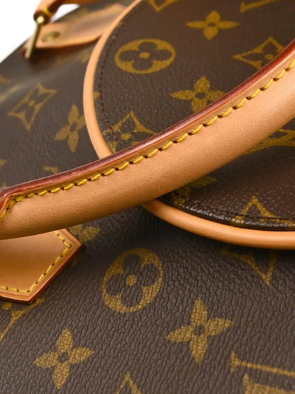 Pre-OwnedLouis Vuitton Pre-Owned1998 Monogram Ellipse MM handbag