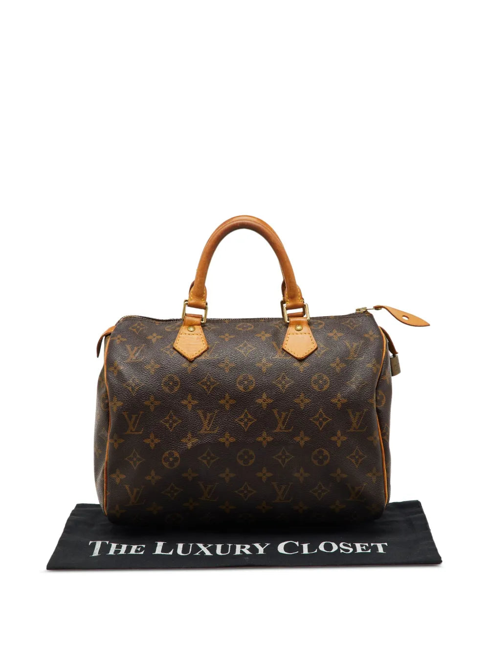 Pre-OwnedLouis Vuitton Pre-OwnedSpeedy 30 handbag