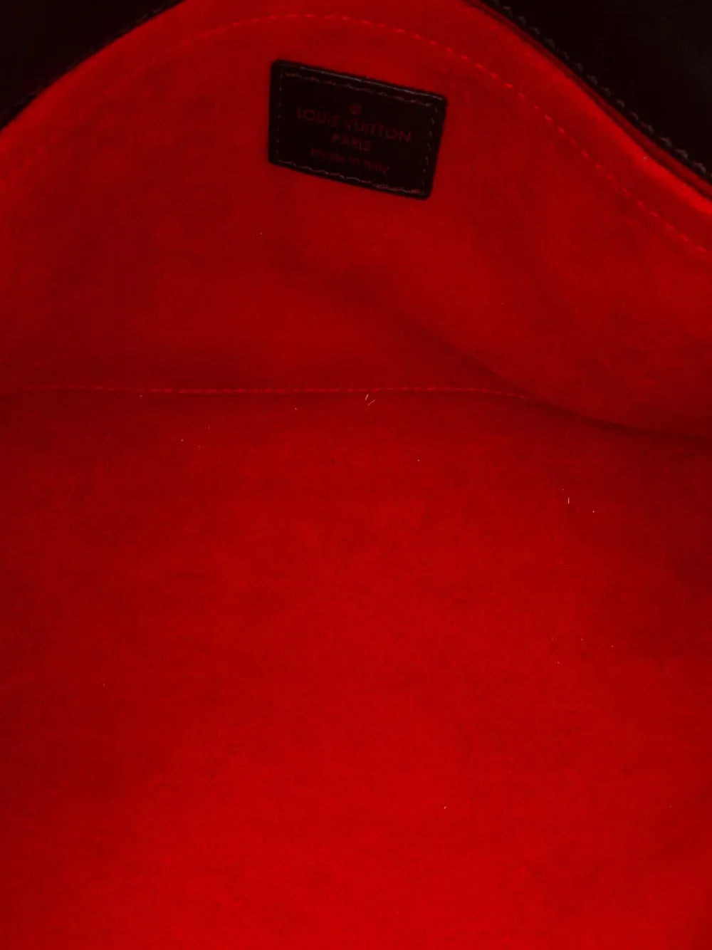 Pre-OwnedLouis Vuitton Pre-Owned2003 Damier Sauvage Lionne handbag
