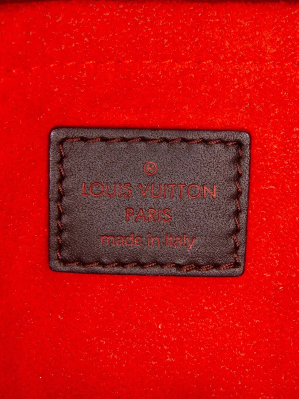 Pre-OwnedLouis Vuitton Pre-Owned2003 Damier Sauvage Lionne handbag
