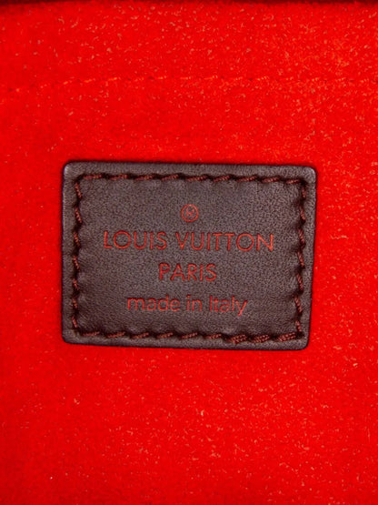 Pre-OwnedLouis Vuitton Pre-Owned2003 Damier Sauvage Lionne handbag