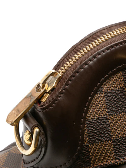 Pre-OwnedLouis Vuitton Pre-Owned2008 Damier Ebene Trevi PM satchel