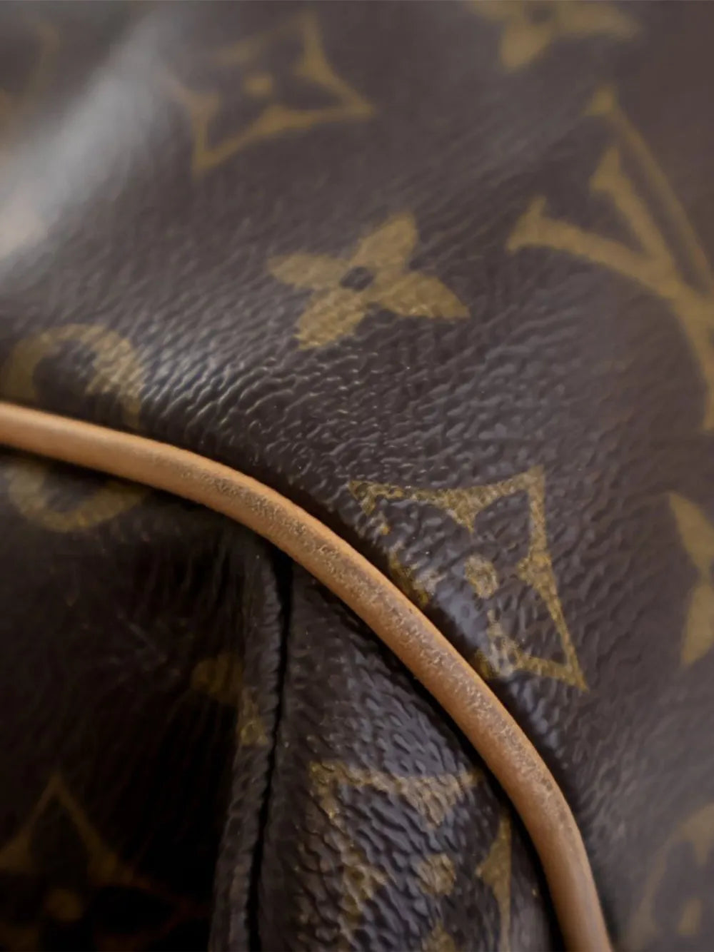 Pre-OwnedLouis Vuitton Pre-Owned2009-2017 Monogram Totally MM tote bag