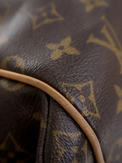 Pre-OwnedLouis Vuitton Pre-Owned2009-2017 Monogram Totally MM tote bag