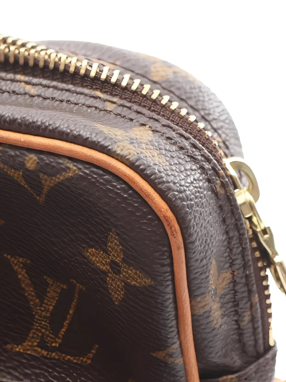 Pre-OwnedLouis Vuitton Pre-OwnedAmazon shoulder bag