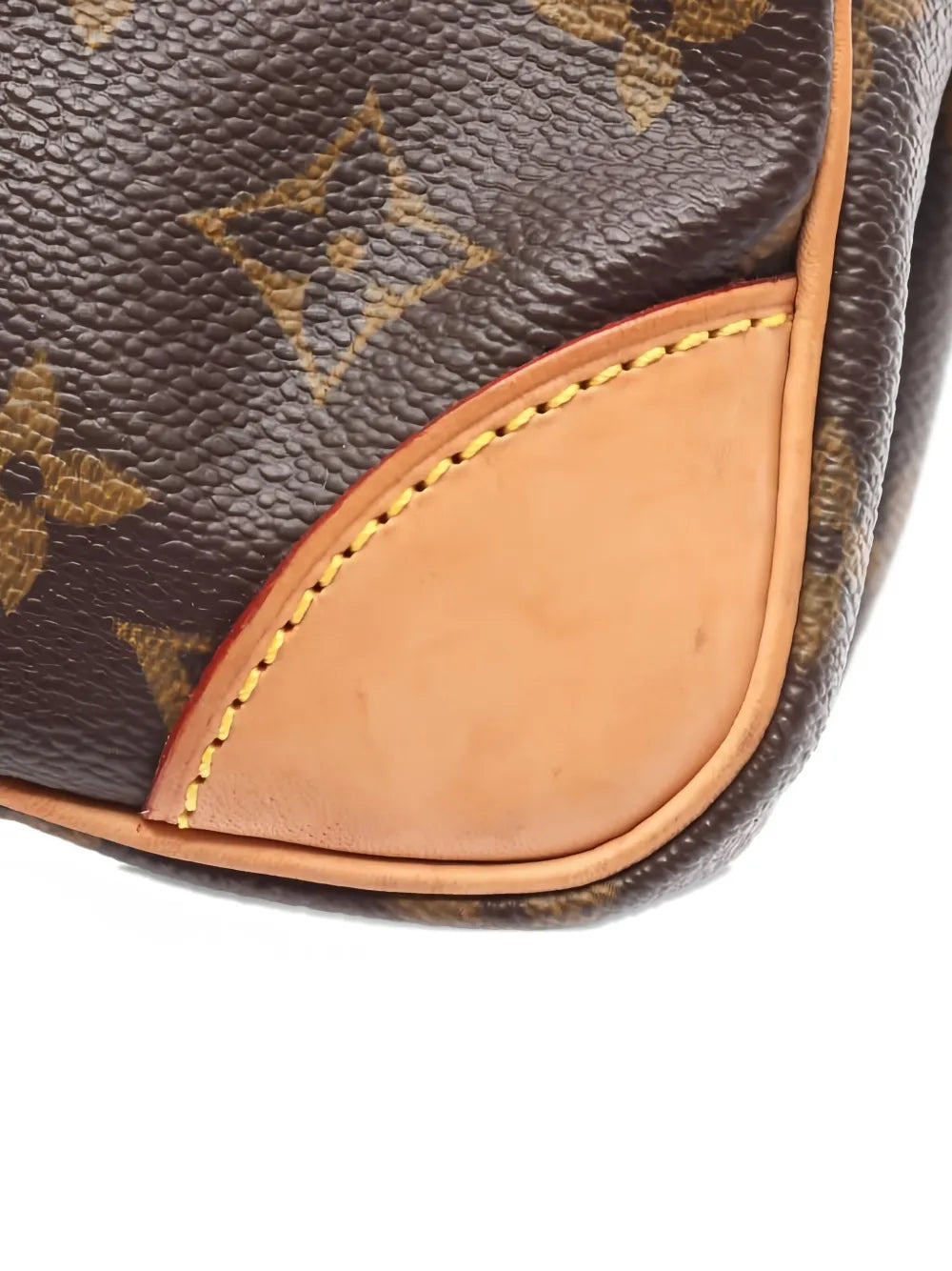 Pre-OwnedLouis Vuitton Pre-OwnedAmazon shoulder bag