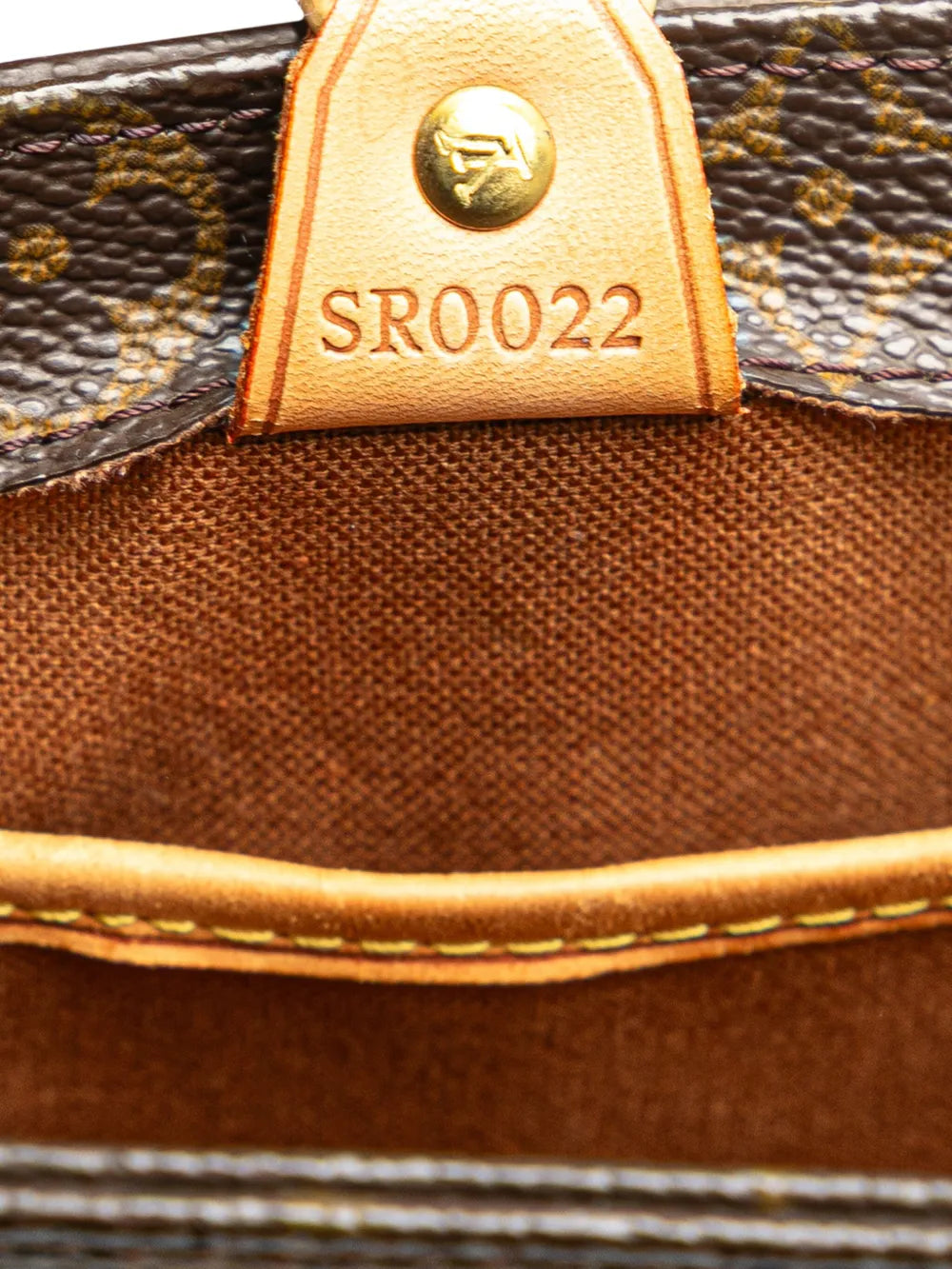 Pre-OwnedLouis Vuitton Pre-Owned2002 Monogram Vavin PM handbag