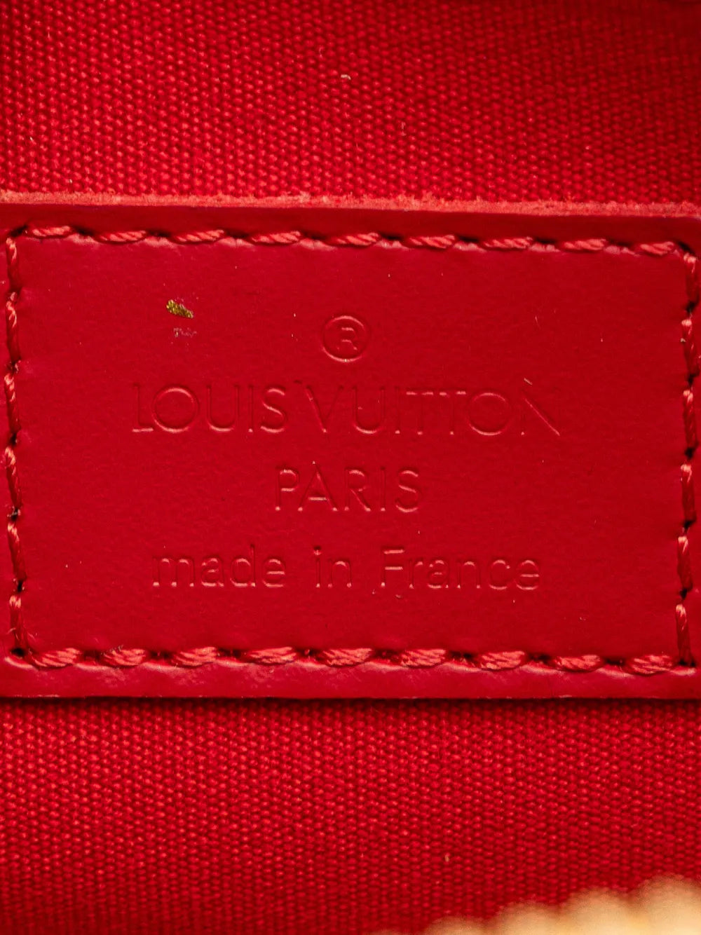 Pre-OwnedLouis Vuitton Pre-Owned2003 Epi Dhanura PM satchel