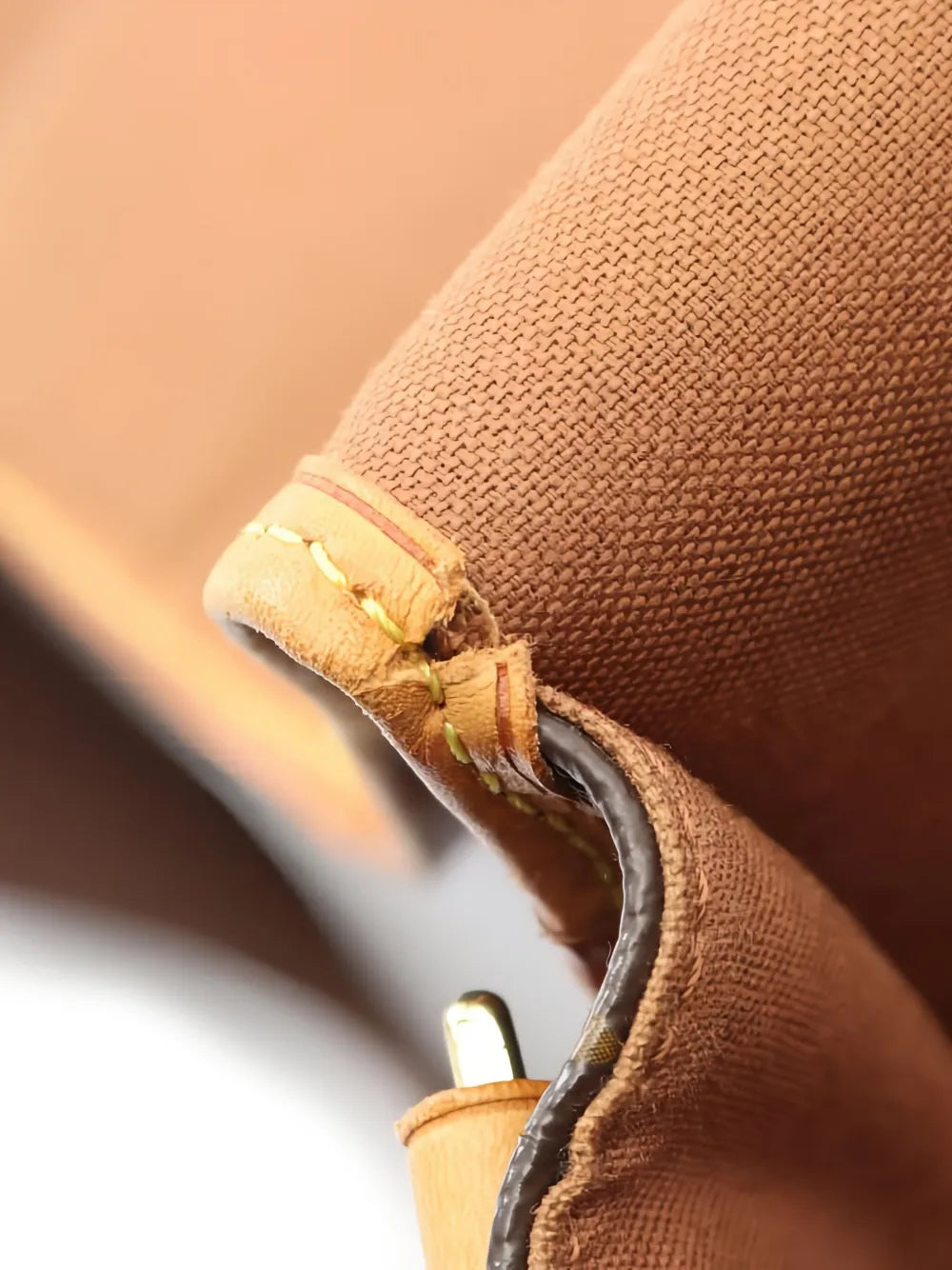 Pre-OwnedLouis Vuitton Pre-Owned2006 Bosforo monogram shoulder bag