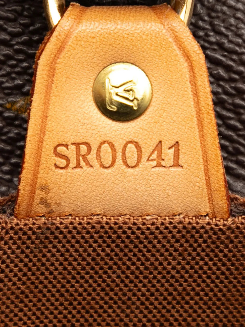 Pre-OwnedLouis Vuitton Pre-Owned2001 Monogram Vavin GM tote bag